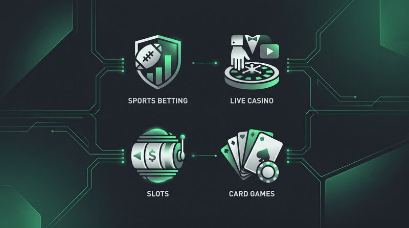 555rr Gaming Categories Overview
